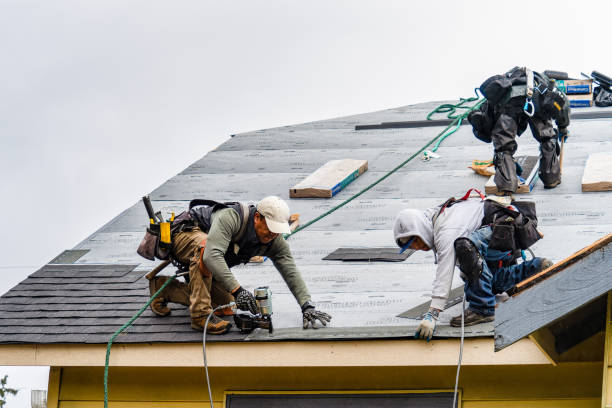Professional Gutter Installation technician working in Midway, TN